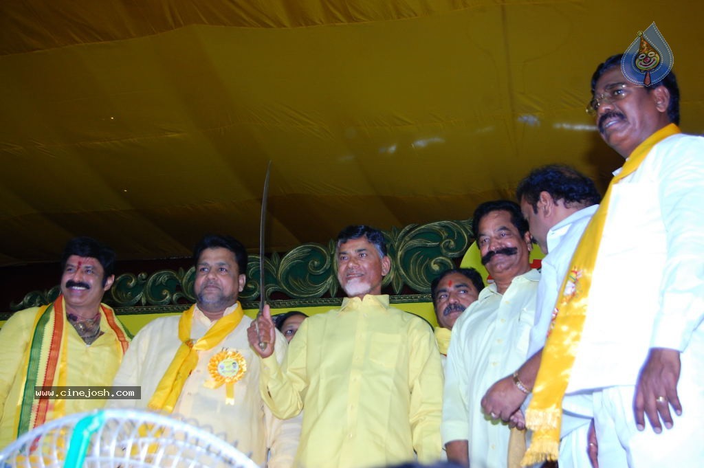 TDP Mahanadu 2013 Photos - 12 / 150 photos