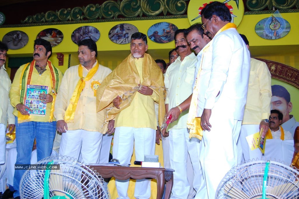 TDP Mahanadu 2013 Photos - 13 / 150 photos