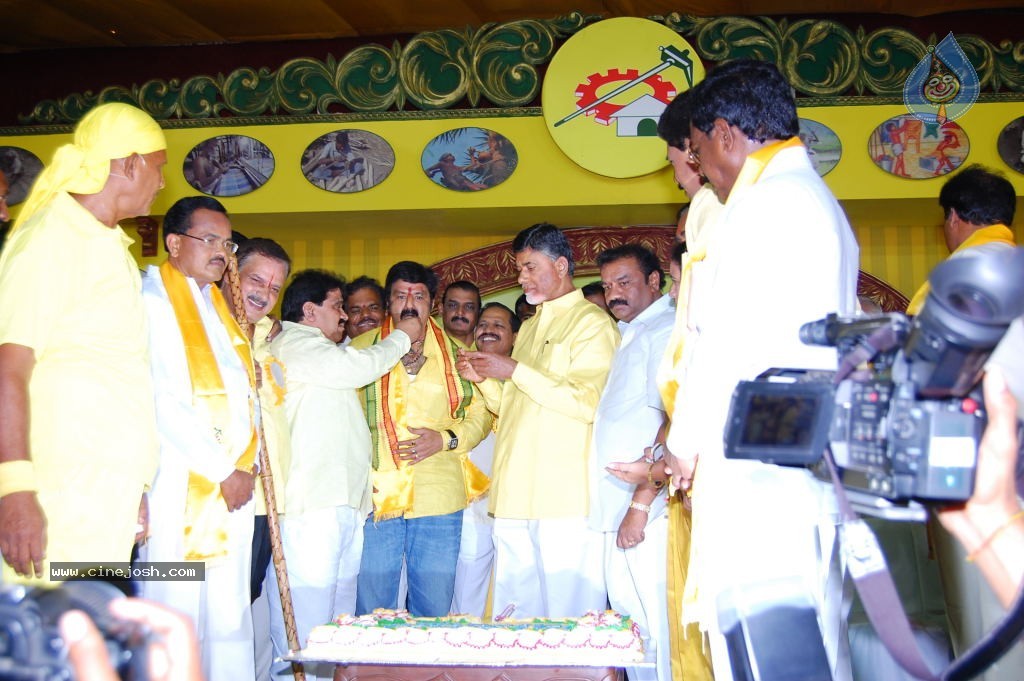 TDP Mahanadu 2013 Photos - 15 / 150 photos