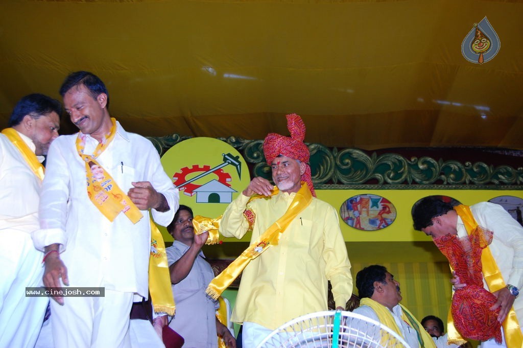 TDP Mahanadu 2013 Photos - 16 / 150 photos