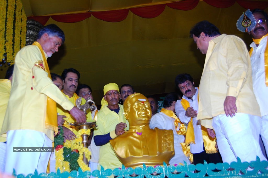 TDP Mahanadu 2013 Photos - 17 / 150 photos