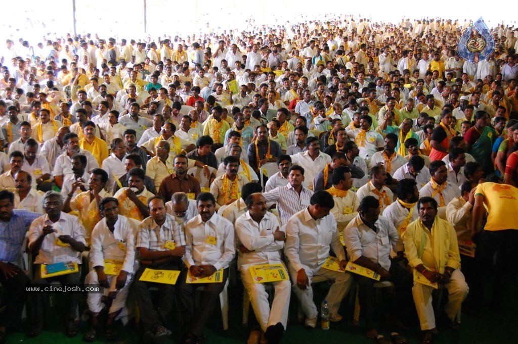 TDP Mahanadu 2013 Photos - 19 / 150 photos