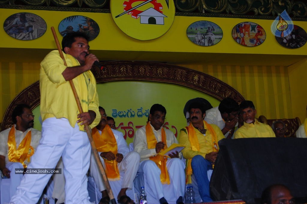 TDP Mahanadu 2013 Photos - 20 / 150 photos