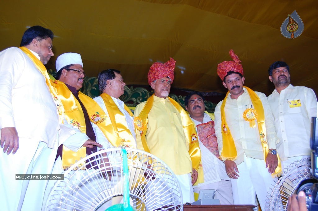 TDP Mahanadu 2013 Photos - 21 / 150 photos