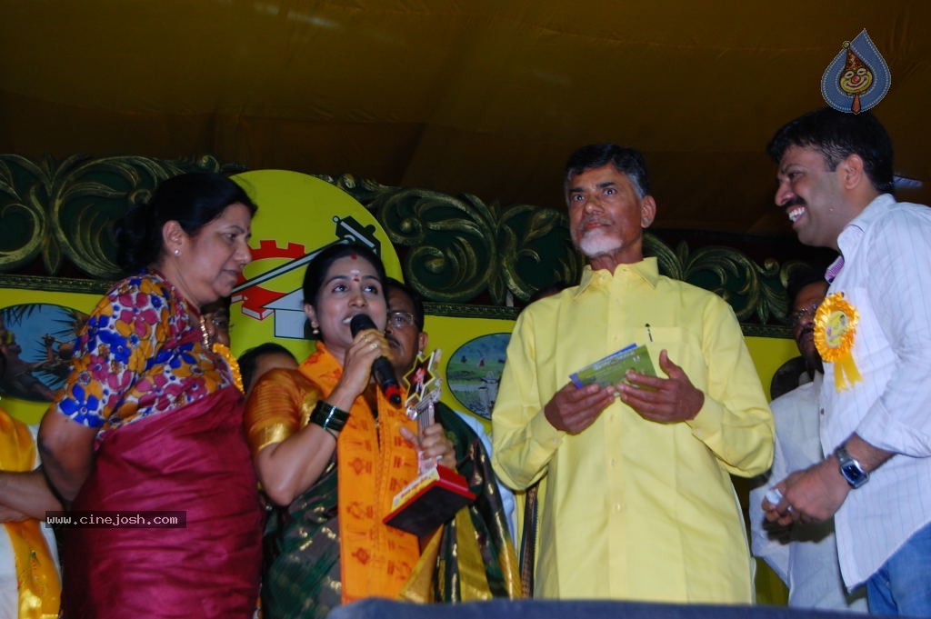 TDP Mahanadu 2013 Photos - 25 / 150 photos