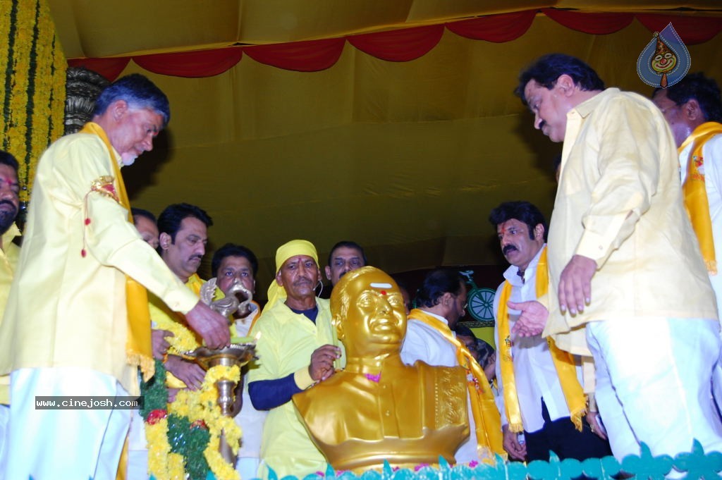 TDP Mahanadu 2013 Photos - 28 / 150 photos