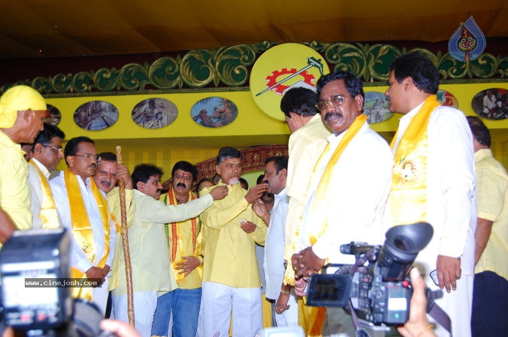 TDP Mahanadu 2013 Photos - 34 / 150 photos