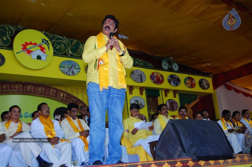 TDP Mahanadu 2013 Photos - 45 / 150 photos