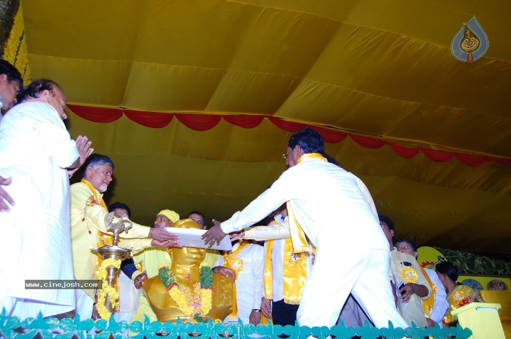 TDP Mahanadu 2013 Photos - 46 / 150 photos