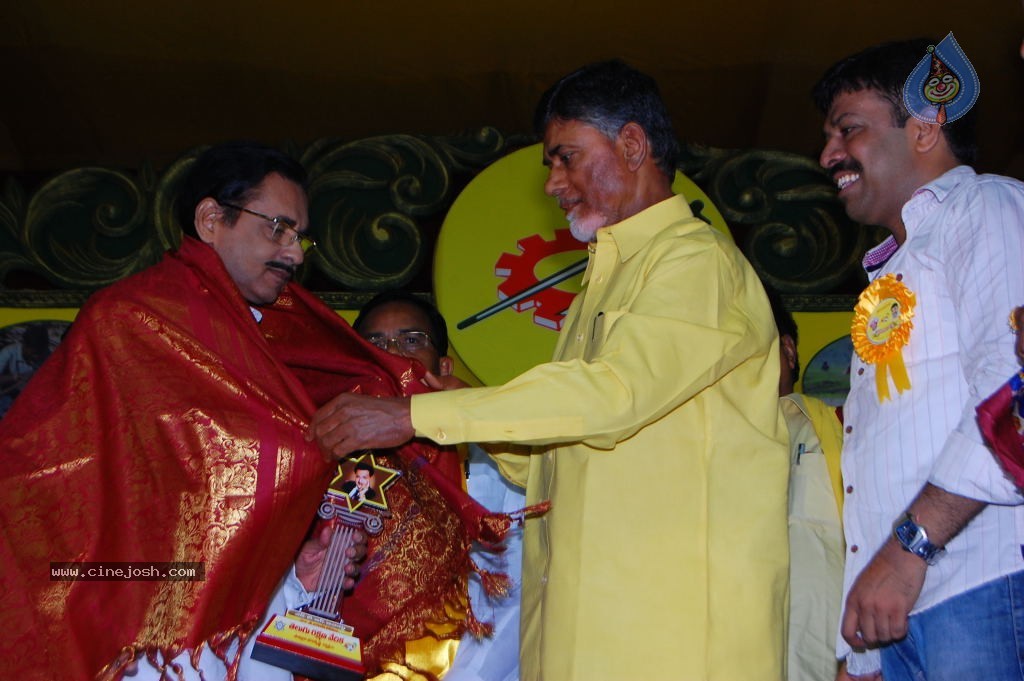 TDP Mahanadu 2013 Photos - 48 / 150 photos