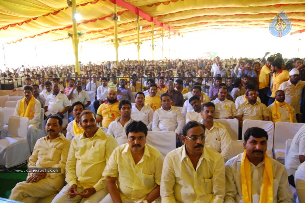 TDP Mahanadu 2013 Photos - 51 / 150 photos