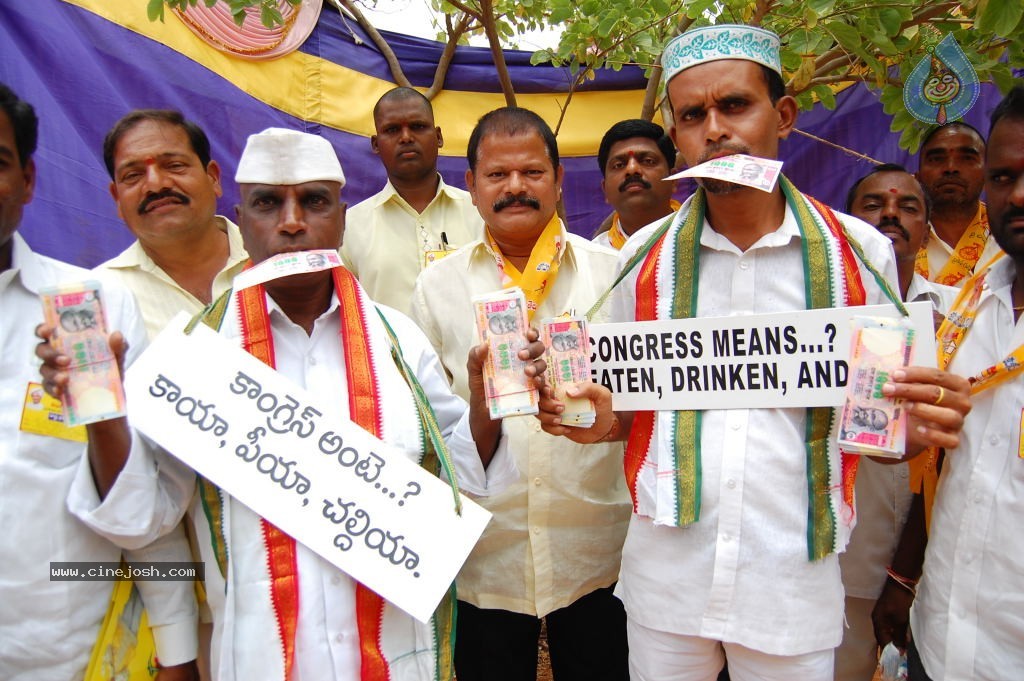 TDP Mahanadu 2013 Photos - 52 / 150 photos