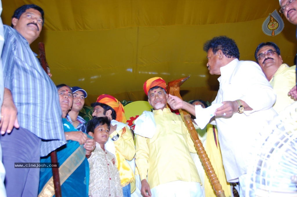 TDP Mahanadu 2013 Photos - 54 / 150 photos