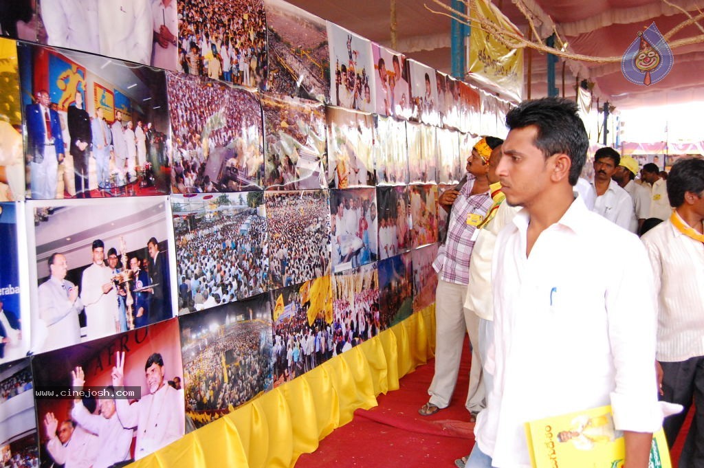 TDP Mahanadu 2013 Photos - 57 / 150 photos