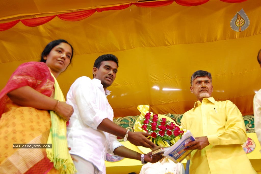 TDP Mahanadu 2013 Photos - 58 / 150 photos