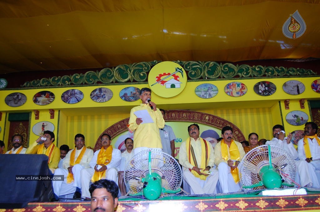 TDP Mahanadu 2013 Photos - 59 / 150 photos