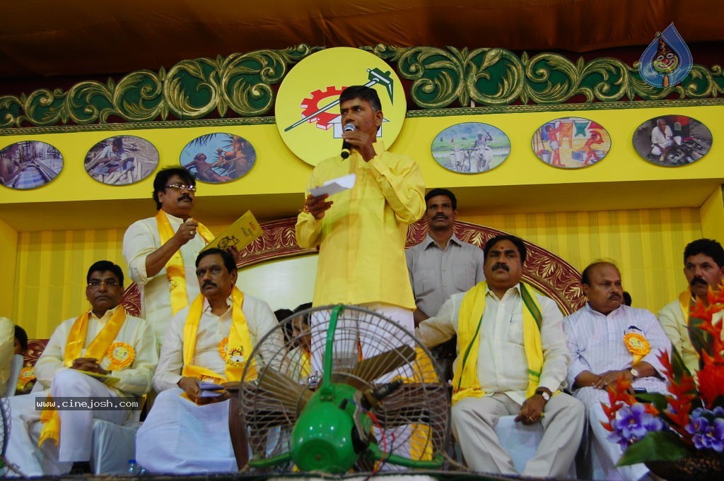 TDP Mahanadu 2013 Photos - 60 / 150 photos