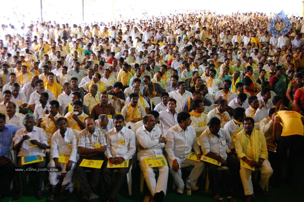 TDP Mahanadu 2013 Photos - 62 / 150 photos