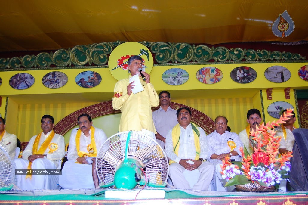 TDP Mahanadu 2013 Photos - 63 / 150 photos