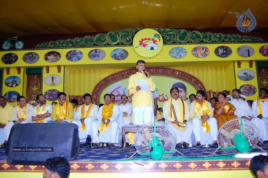 TDP Mahanadu 2013 Photos - 94 / 150 photos