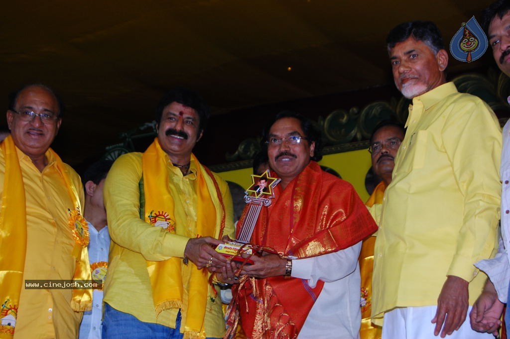 TDP Mahanadu 2013 Photos - 97 / 150 photos