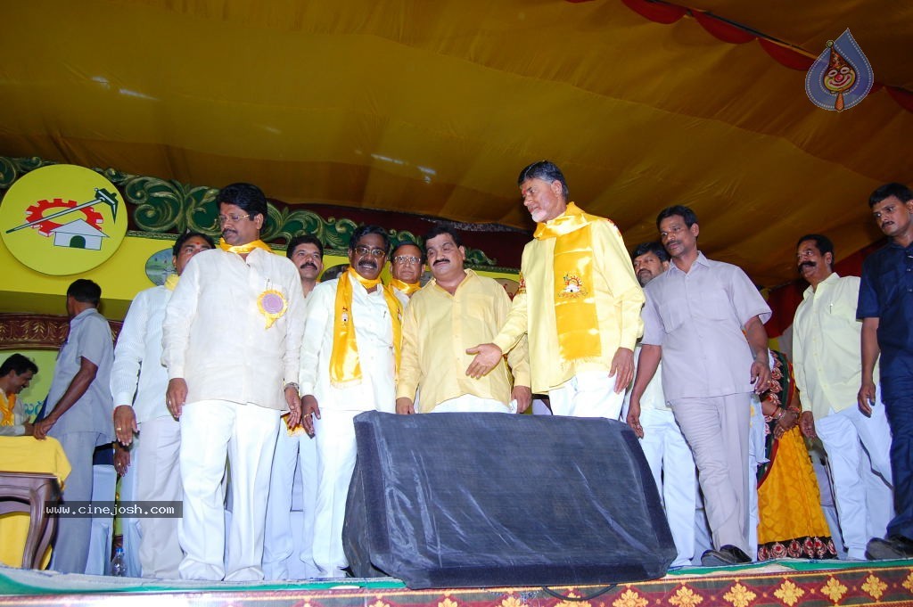 TDP Mahanadu 2013 Photos - 98 / 150 photos