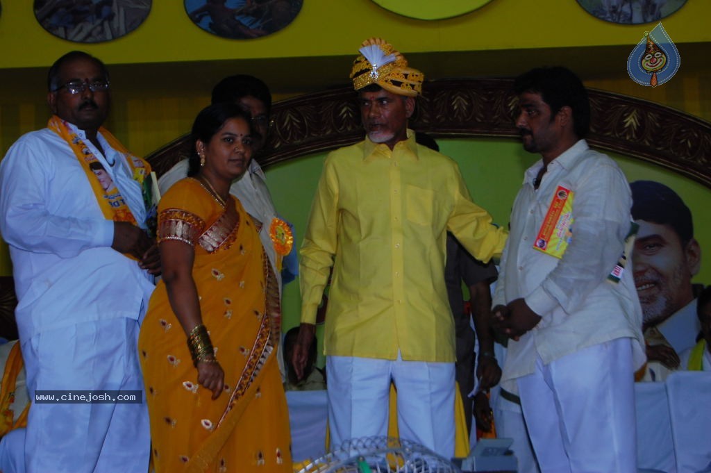 TDP Mahanadu 2013 Photos - 101 / 150 photos