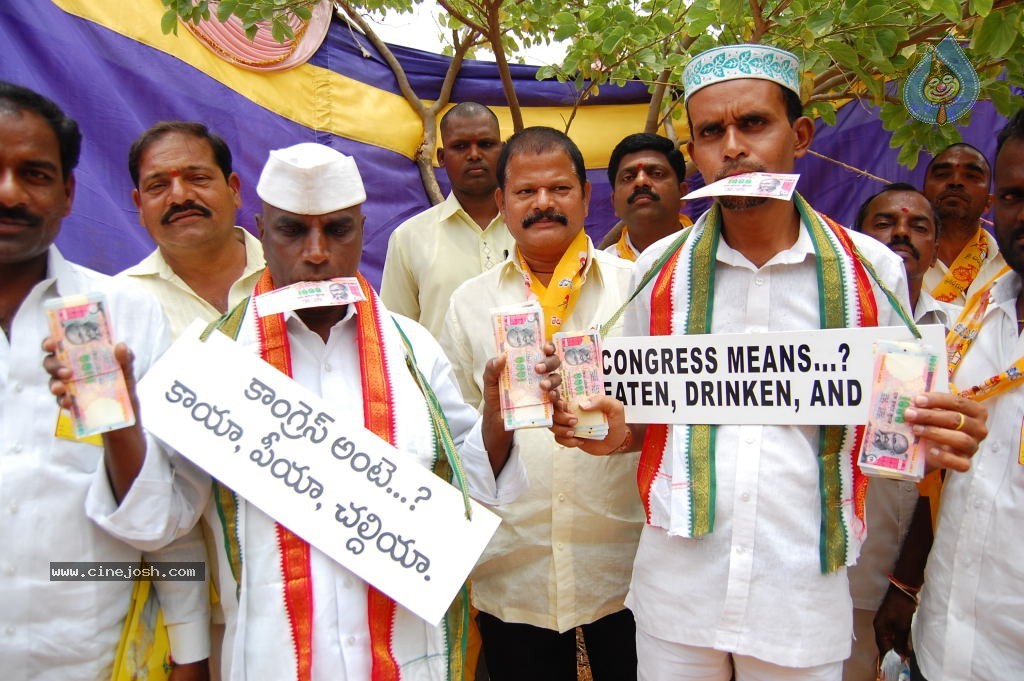 TDP Mahanadu 2013 Photos - 104 / 150 photos