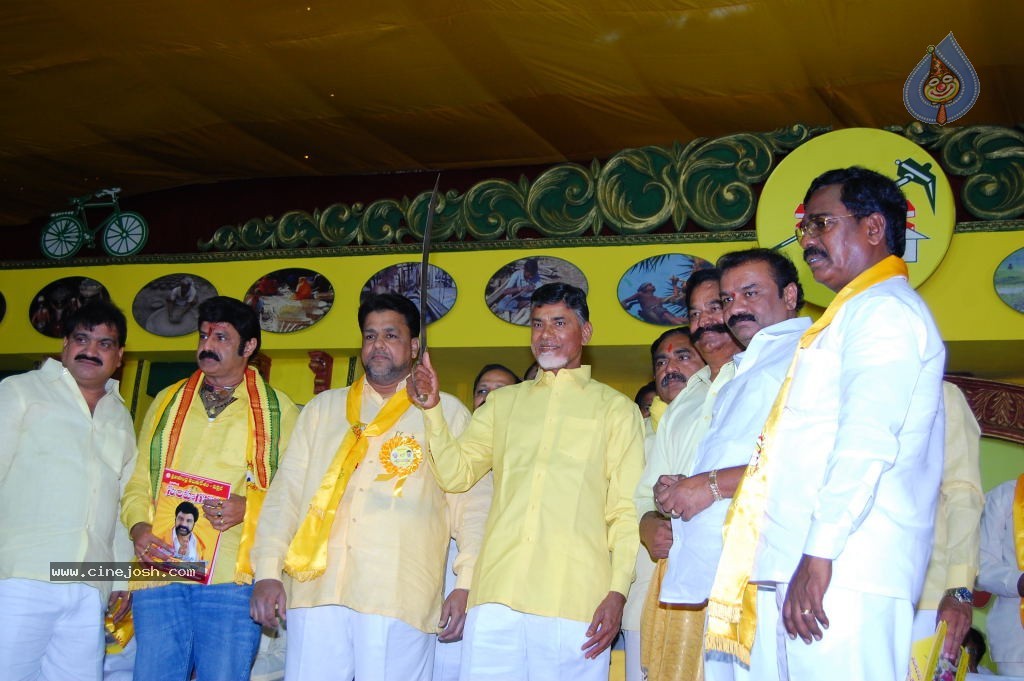TDP Mahanadu 2013 Photos - 105 / 150 photos