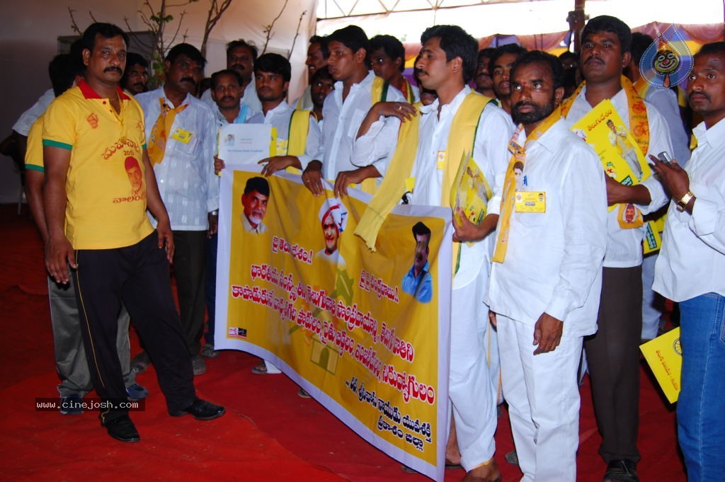 TDP Mahanadu 2013 Photos - 108 / 150 photos