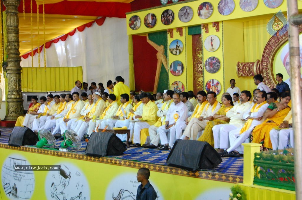 TDP Mahanadu 2013 Photos - 110 / 150 photos