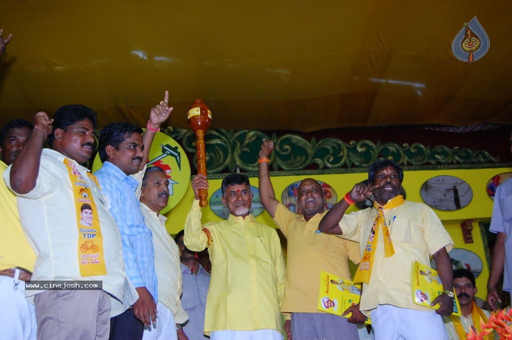 TDP Mahanadu 2013 Photos - 111 / 150 photos