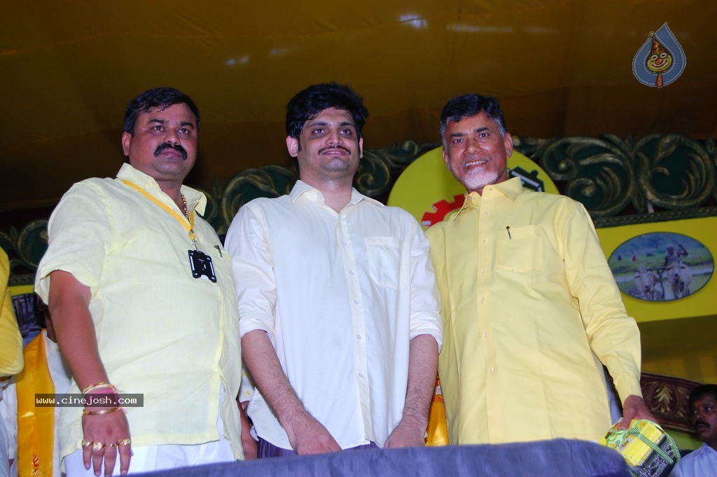 TDP Mahanadu 2013 Photos - 113 / 150 photos