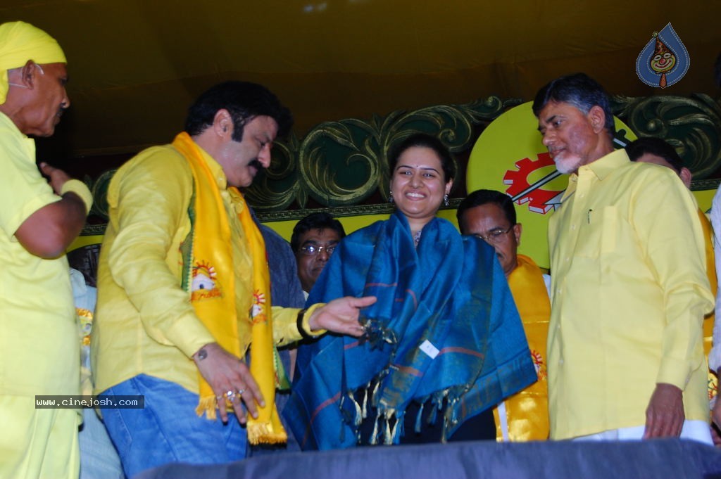 TDP Mahanadu 2013 Photos - 117 / 150 photos