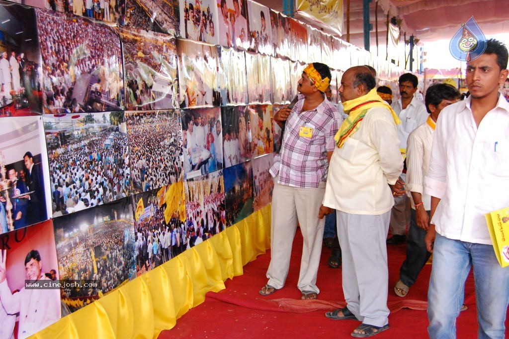 TDP Mahanadu 2013 Photos - 123 / 150 photos