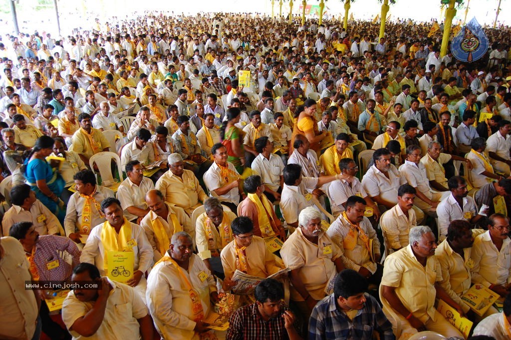 TDP Mahanadu 2013 Photos - 126 / 150 photos