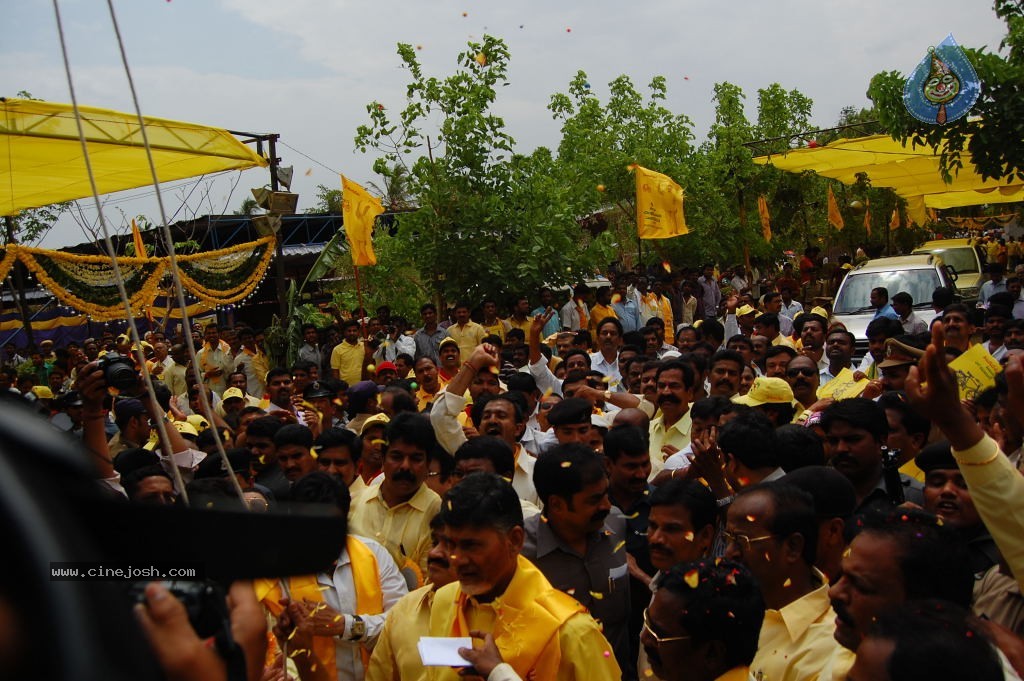 TDP Mahanadu 2013 Photos - 129 / 150 photos