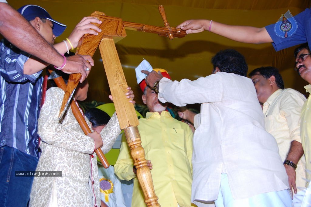 TDP Mahanadu 2013 Photos - 134 / 150 photos