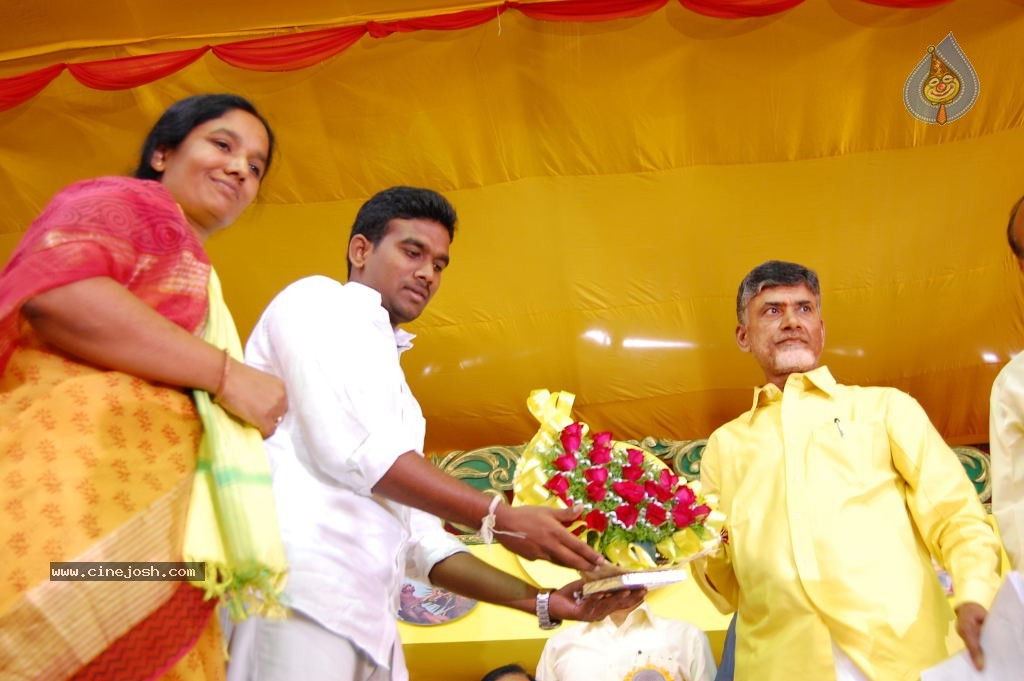 TDP Mahanadu 2013 Photos - 136 / 150 photos