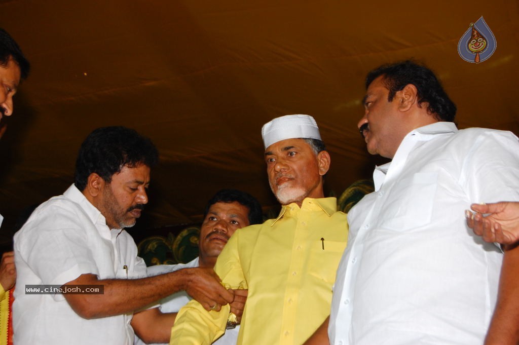 TDP Mahanadu 2013 Photos - 139 / 150 photos