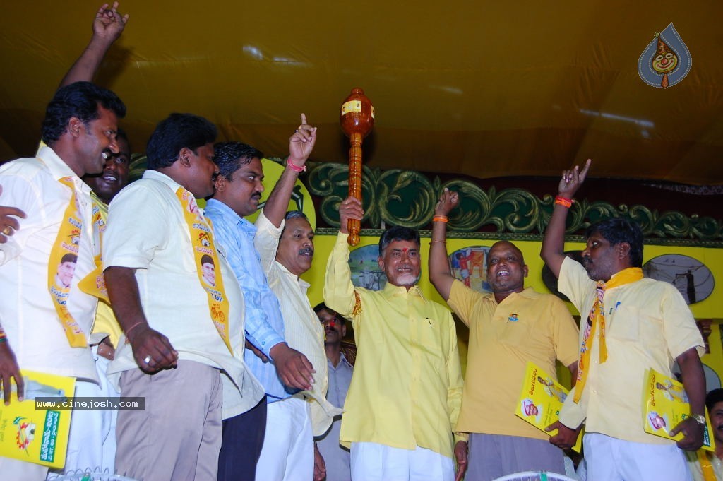 TDP Mahanadu 2013 Photos - 142 / 150 photos
