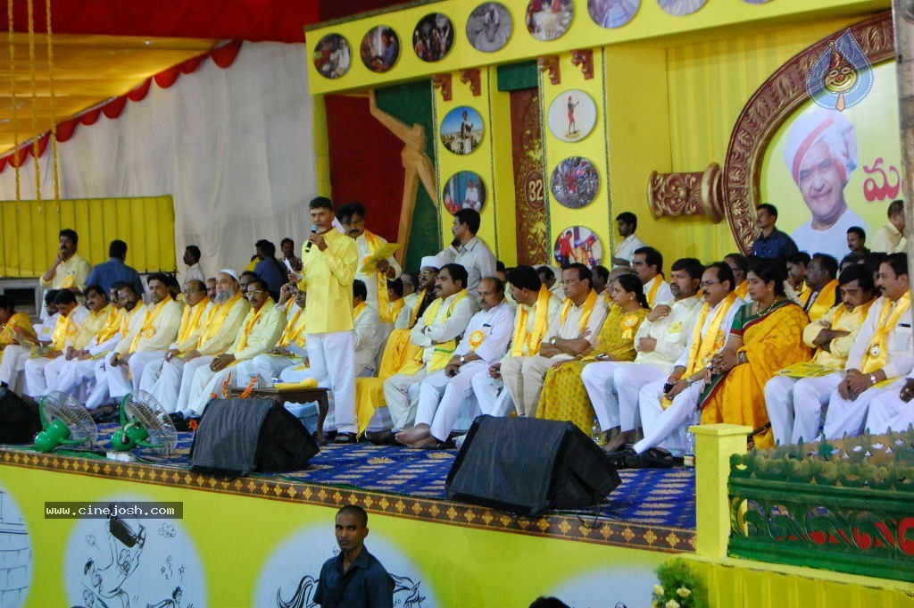 TDP Mahanadu 2013 Photos - 144 / 150 photos