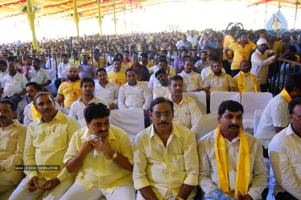 TDP Mahanadu 2013 Photos - 147 / 150 photos