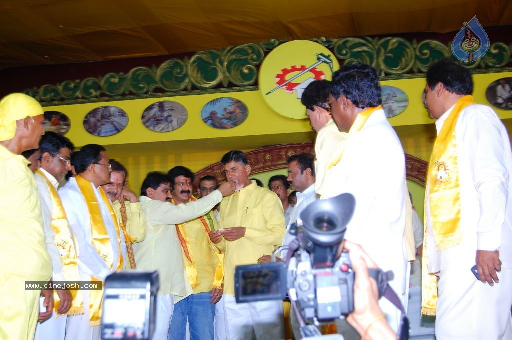 TDP Mahanadu 2013 Photos - 150 / 150 photos