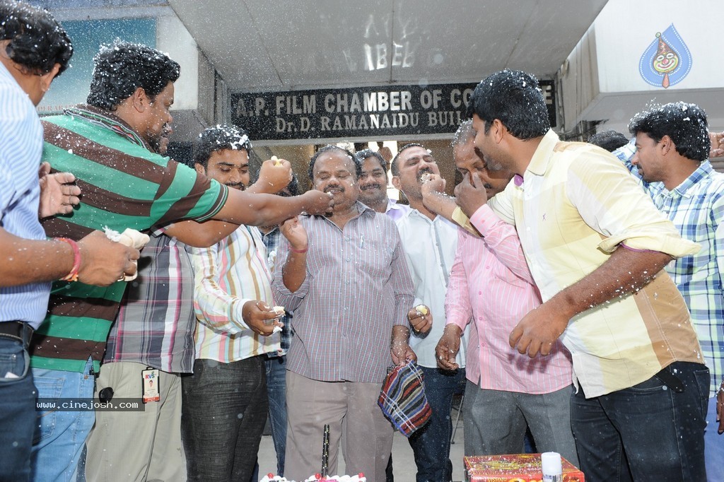 Telangana Formation Celebrations  - 25 / 319 photos