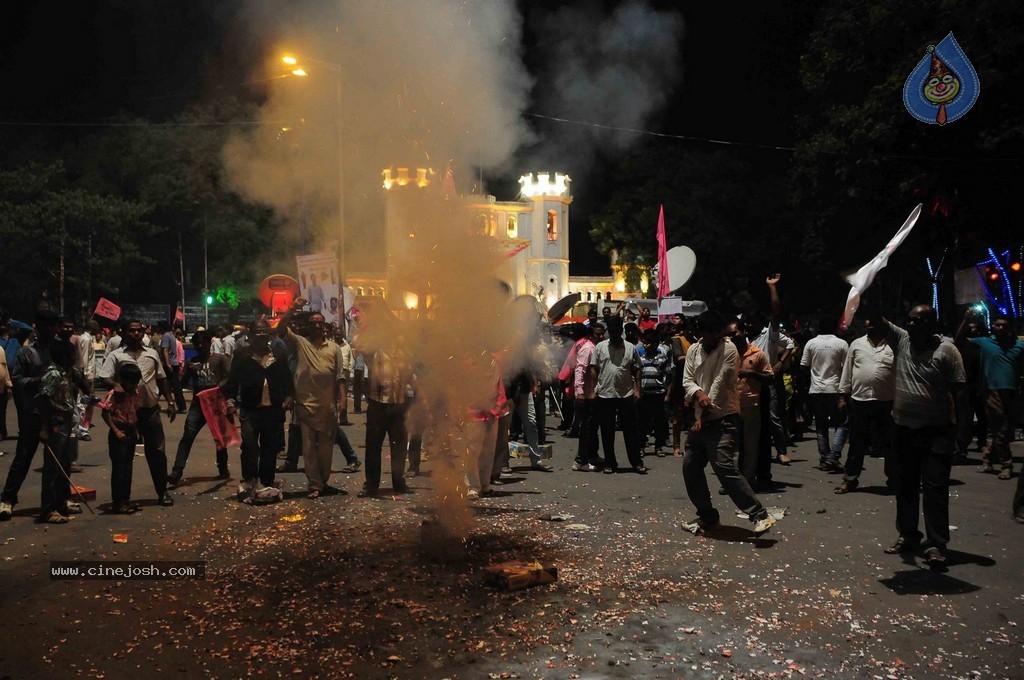 Telangana Formation Celebrations  - 27 / 319 photos