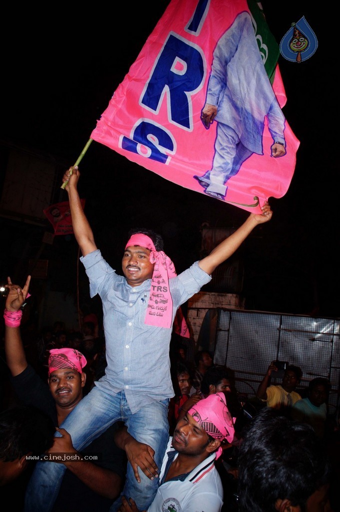 Telangana Formation Celebrations  - 31 / 319 photos