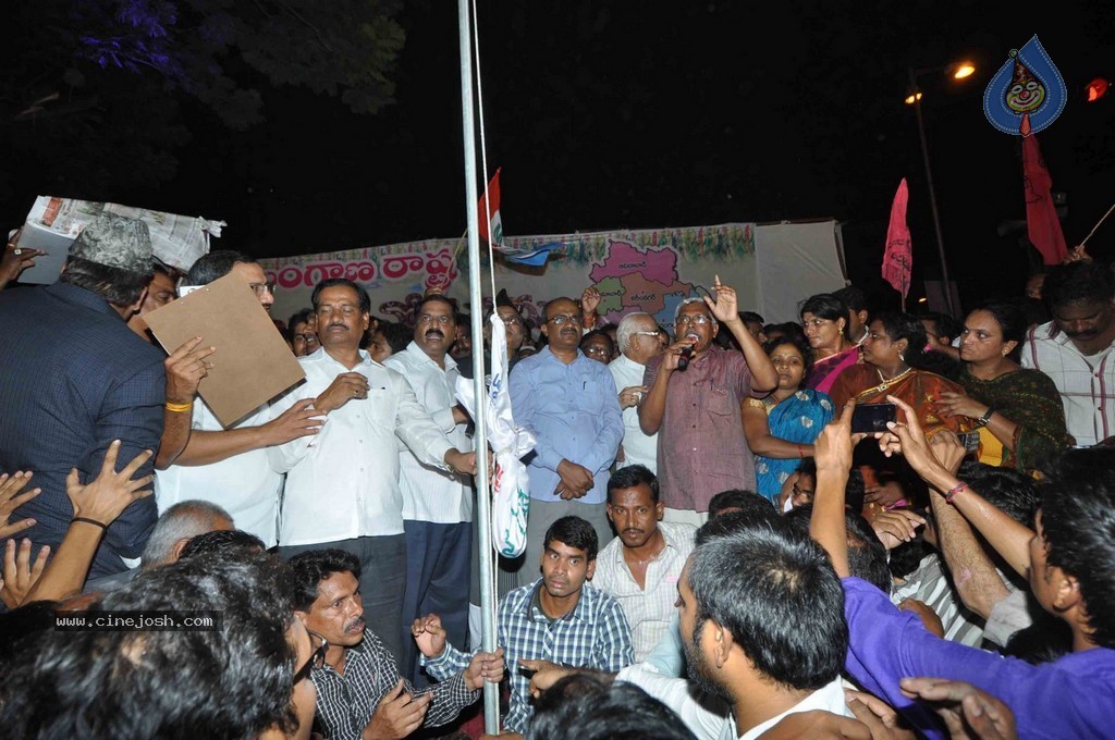 Telangana Formation Celebrations  - 41 / 319 photos