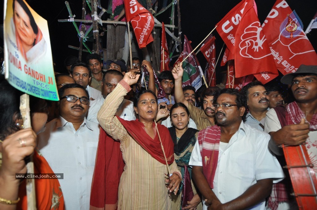 Telangana Formation Celebrations  - 85 / 319 photos