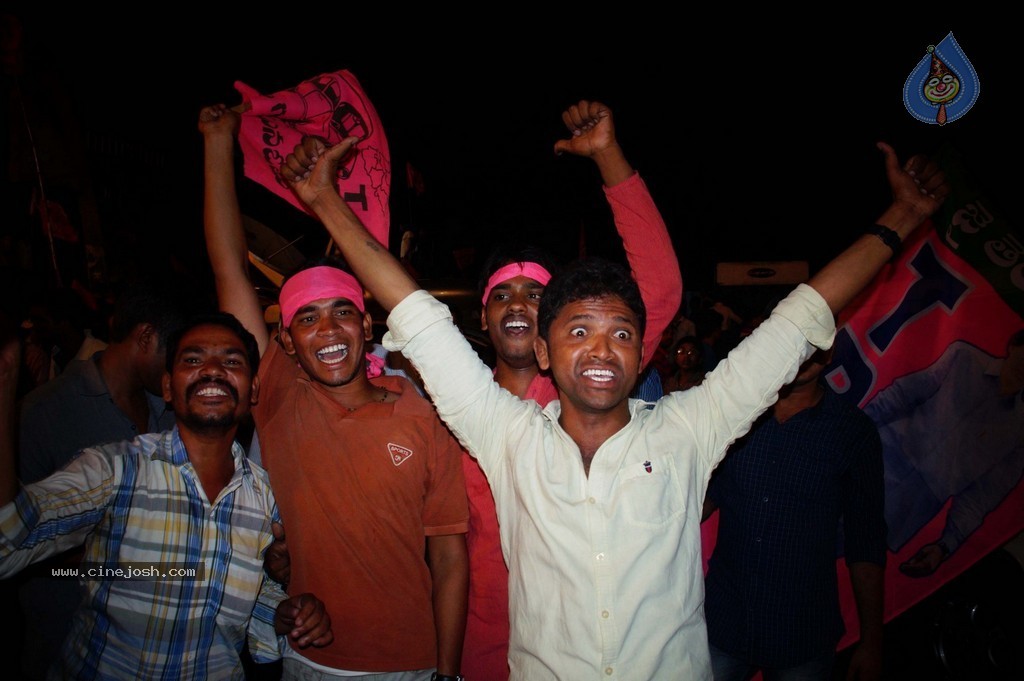 Telangana Formation Celebrations  - 102 / 319 photos